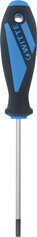 MaxxPro - Schraubendreher, Torx, T20 x 100 mm