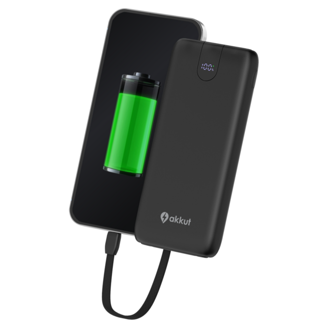 Powerbank mit Ladekabel für FLEXIBLE DOCK 4